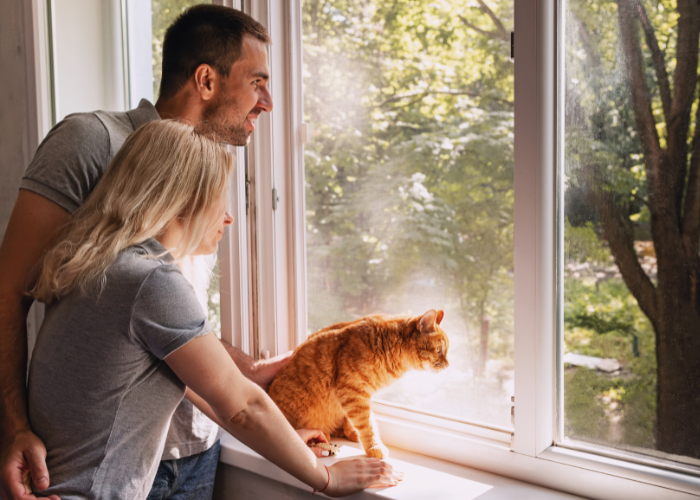 Was ist mit der Katze nach einer Scheidung?