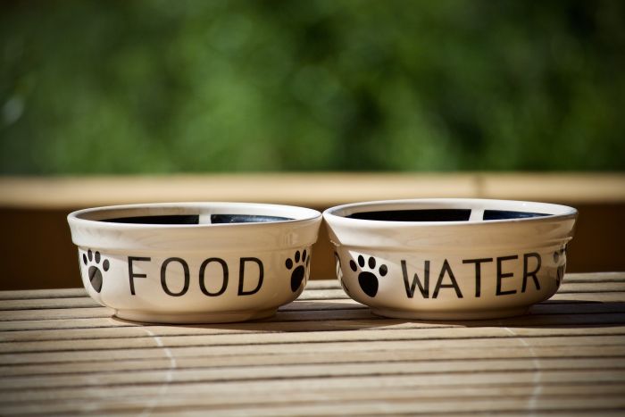 Keramische Hundenäpfe für Futter und Wasser.