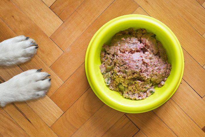 Napf mit nassem Hundefutter