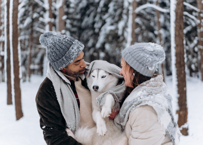 Zu wem kommt der Hund nach der Scheidung?