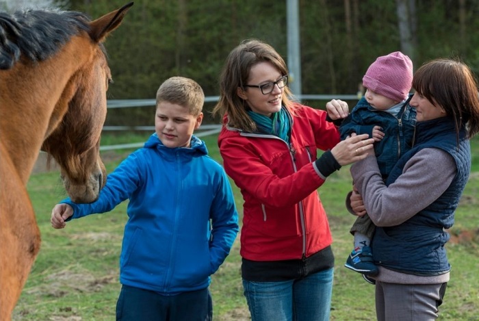 Hippotherapie-Kurse.